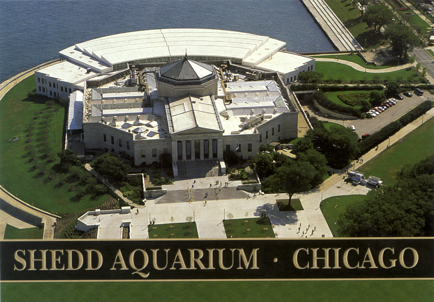 Itinerary Profile #5: Shedd Aquarium | cacsmusicchicago